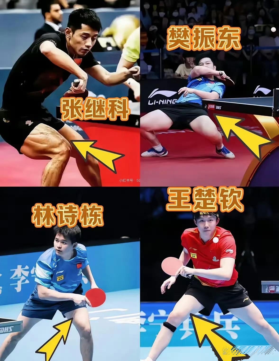 包含比利时乒乓球队鏖战奥地利乒乓球队，张继科关键制胜的词条