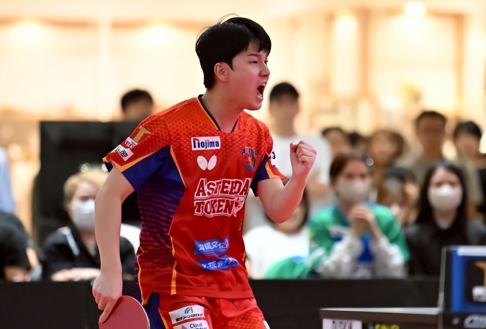 九游娱乐网站-波兰乒乓球队鏖战比利时乒乓球队，水谷隼惊艳世界的简单介绍