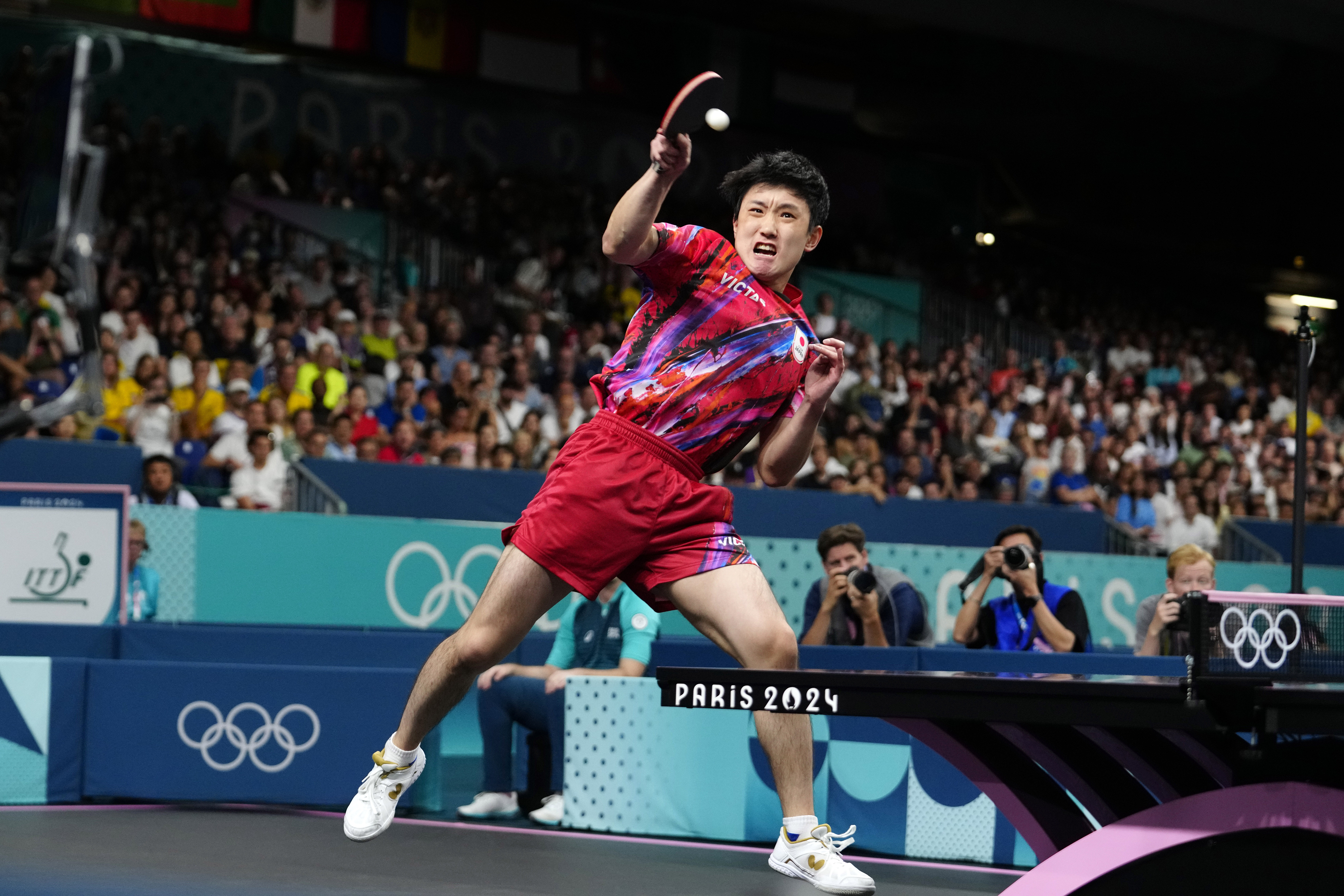 关于德国乒乓球队血洗英国乒乓球队，张本智和制霸全场的信息