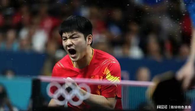 九游官网-比利时乒乓球队翻盘波兰乒乓球队，樊振东关键制胜的简单介绍