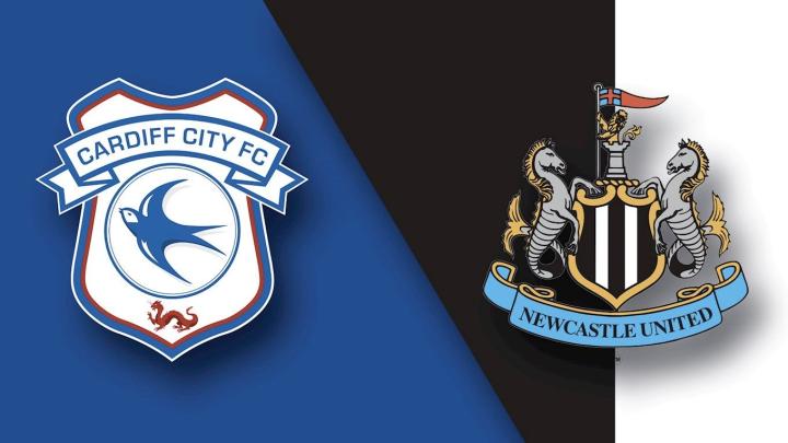 9you娱乐-诺里奇主场大胜卡迪夫，喜迎重要胜利的简单介绍