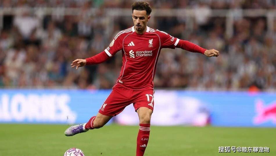 英超球队引进新外援,实力进一步强化的简单介绍 英超球队引进新外援,实力进一步强化的简单介绍